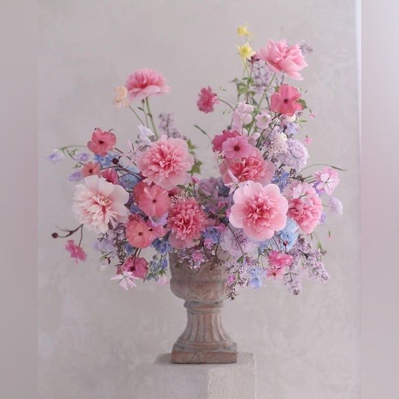 ~Lila - Picture 10 of 12